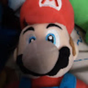 Meet your Posher, Joel mario 3